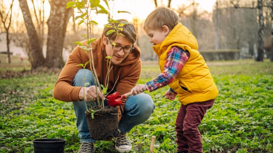 Little boy and his father gardening in spring